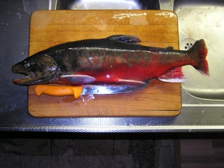 Nieri� (Rautu) 2,25 kg